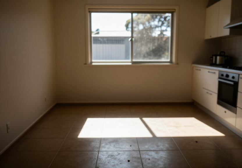 Ant Control in the Kitchen